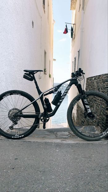 Canyon, Lux CF SL 7.0 2020