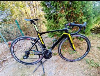 Ridley, Noah Campagnolo Potenza