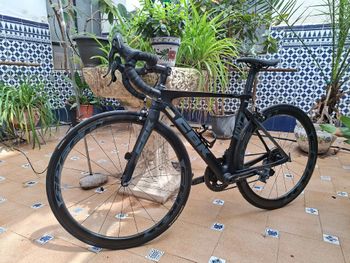 CBK, CBK Custom Campagnolo Chorus