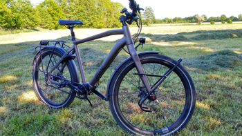 Rose, ACTIVA PRO PINION 18 2020