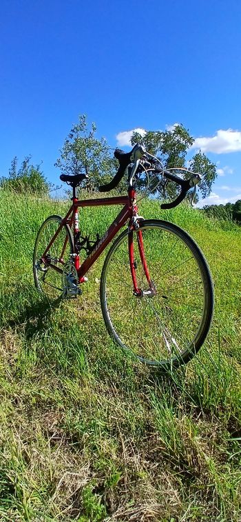 Used Villiger Villiger Custom Shimano 105 1994 Road & Gravel, Red — image 33 of 36