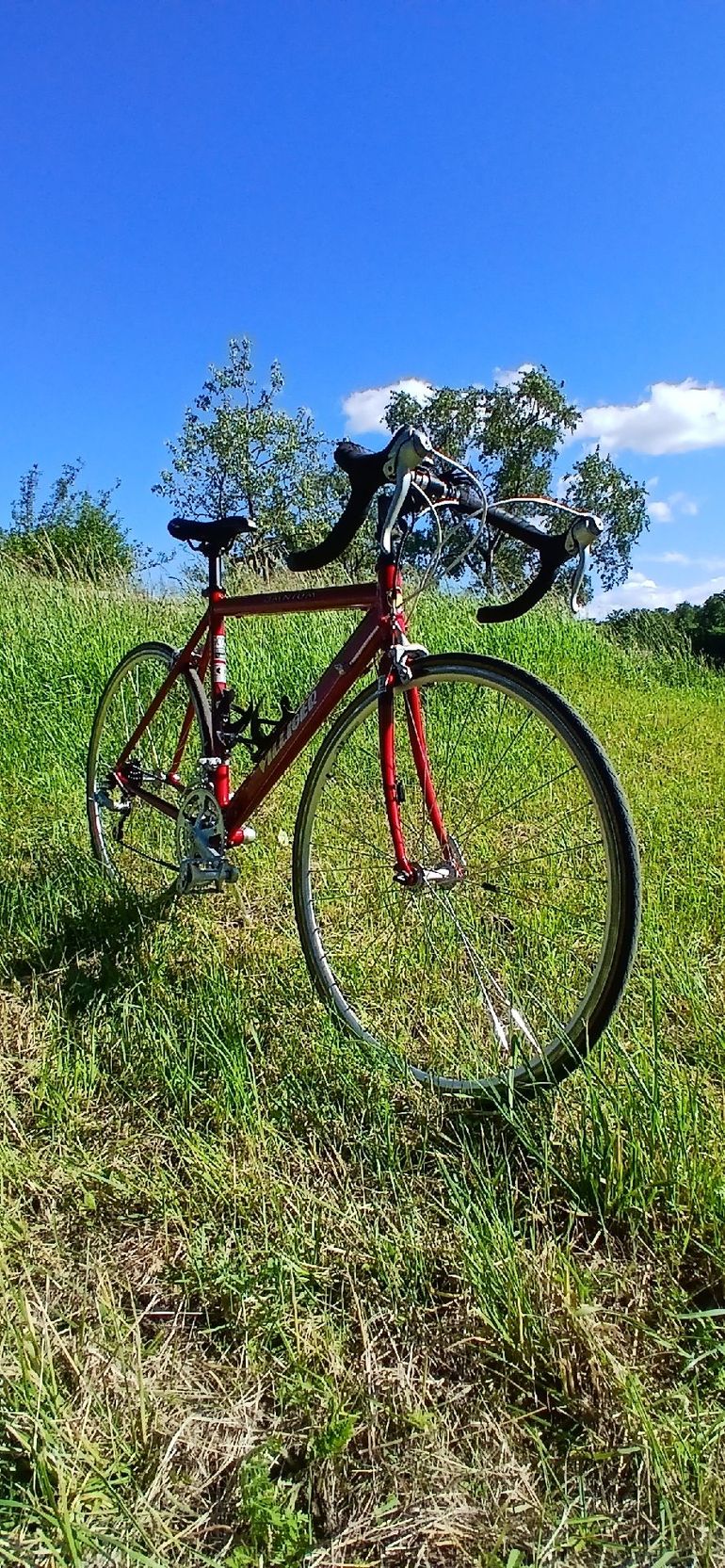 Used Villiger Villiger Custom Shimano 105 1994 Road & Gravel, Red — image 29 of 36