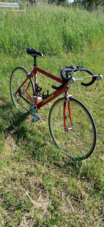 Used Villiger Villiger Custom Shimano 105 1994 Road & Gravel, Red — image 1 of 36