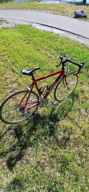 Used Villiger Villiger Custom Shimano 105 1994 Road & Gravel, Red — image 6 of 36