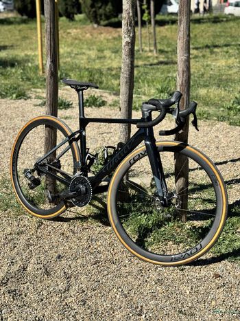 Wilier, Filante SL SRAM RIVAL AXS D1 2X12S 2024