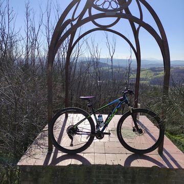 Used Wilier 503x 2017 Mountainbike, Black — image 1 of 4