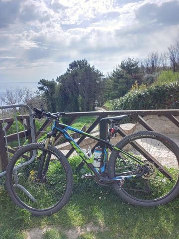 Used Wilier 503x 2017 Mountainbike, Black — image 2 of 4
