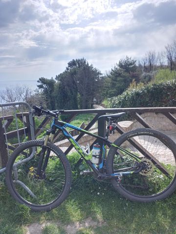 Used Wilier 503x 2017 Mountainbike, Black — image 3 of 4