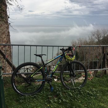 Used Wilier 503x 2017 Mountainbike, Schwarz — image 4 of 4