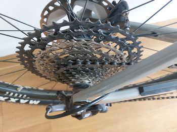 Used Canyon Exceed CF 7 2023 2023 Mountainbike, Light Gray, 29 — image 3 of 5