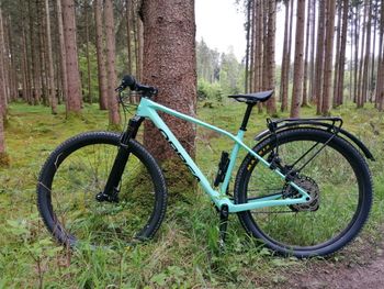 Used Orbea M30, 2023, Turkis 2023 Mountainbike, Blue — image 1 of 22