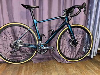 Liv, Langma Advanced 1 Disc 2020