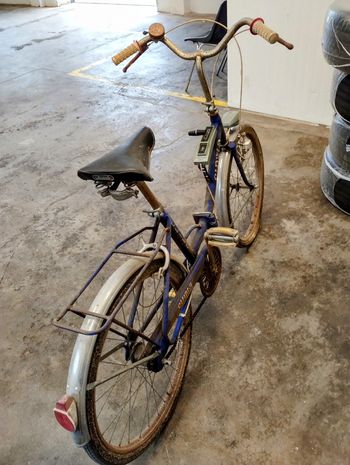 Cinzia, Cinzia Elitte Da Donna  Bici Abbastanza  Alta  Con Cambio Mecchanico