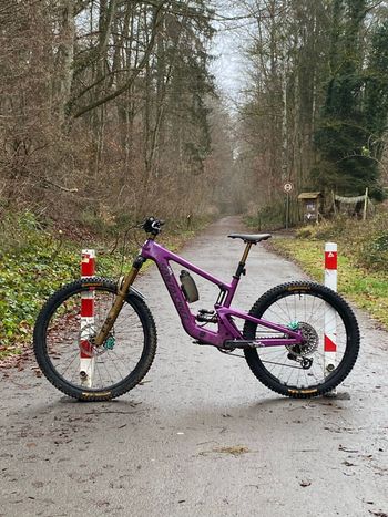 Santa Cruz, Heckler SL XX AXS RSV / Carbon CC 2024