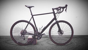 Canyon, Endurace 6 2022