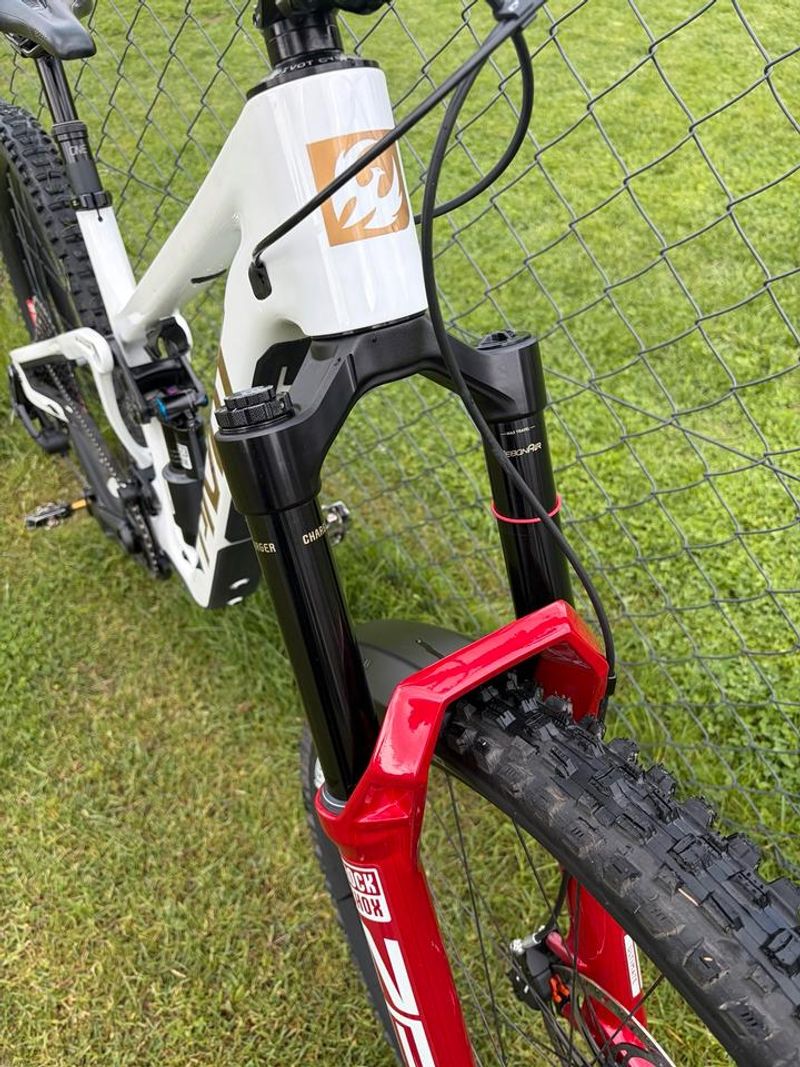 Gebrauchtes Pivot Firebird Custom 2026 Mountainbike, Weiß — Bild 7 von 12