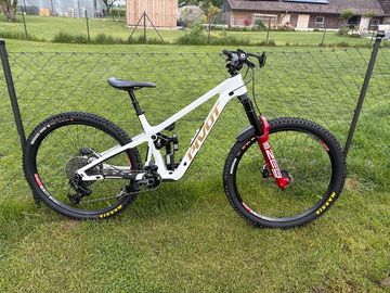 Gebrauchtes Pivot Firebird Custom 2026 Mountainbike, Weiß — Bild 1 von 12
