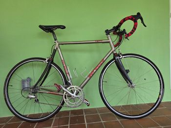 Used Serotta Serotta Custom Campagnolo Record 2005 Road & Gravel, Light Gray — image 6 of 8