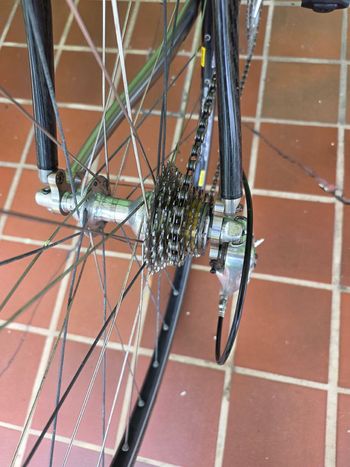 Used Serotta Serotta Custom Campagnolo Record 2005 Road & Gravel, Light Gray — image 3 of 8