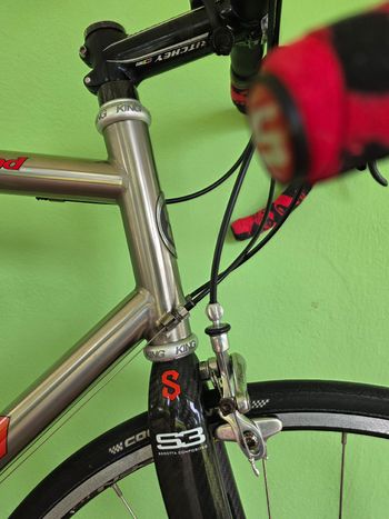 Used Serotta Serotta Custom Campagnolo Record 2005 Road & Gravel, Light Gray — image 4 of 8