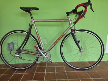 Used Serotta Serotta Custom Campagnolo Record 2005 Road & Gravel
