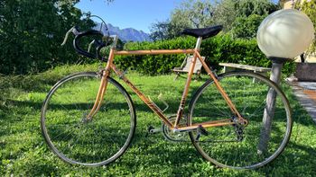 Motobecane, Motobecane Custom Shimano 600