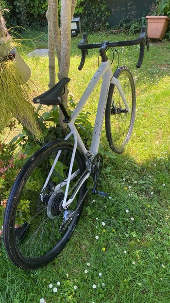 Used Specialized Diverge E5 2025 2025 Road & Gravel, White — image 11 of 11