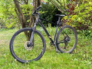 Used Conway MS 929 2021 2021 MTB
