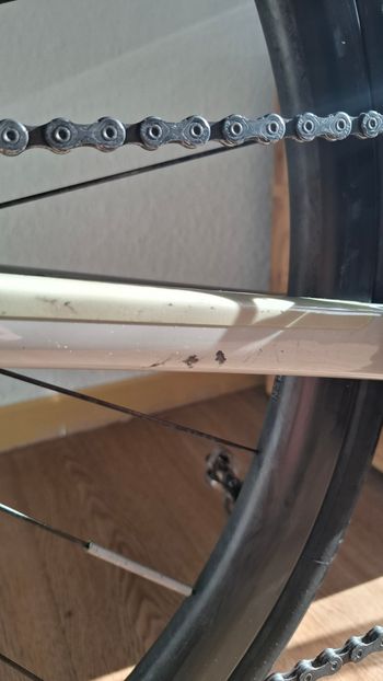 Used Canyon Endurace CF SL 8 Aero 2022 2022 Road & Gravel, White — image 12 of 12