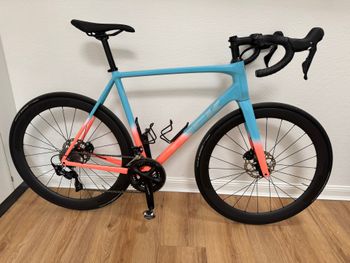 Trek, Émonda ALR 5 2024