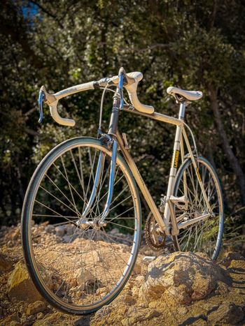 Lapierre, Lapierre Custom Shimano Exage