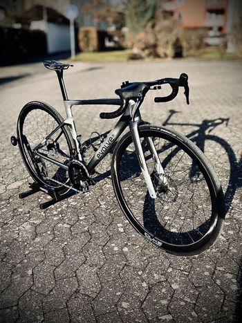 Used Evolve Cima Frameset 2025 Road & Gravel, Gris claro — image 4 of 9