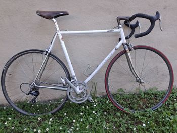 benotto, Benotto Custom Shimano Sora