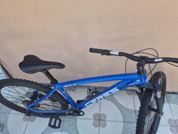ceres, Ceres Custom Other