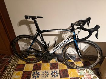 Ridley, Noah POTENZA 2017