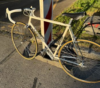 Albuch Kotter, Racing Team