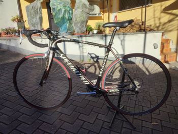 Specialized, Specialized Tarmac Expert