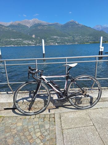 Used Ridley Astweia 1106b 2011 Road & Gravel, Black — image 1 of 3