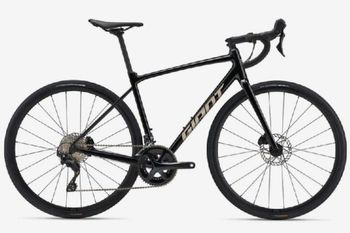 Giant, Contend AR 1 2024