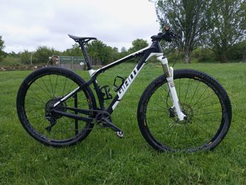 Giant, XTC Advanced 29er 2 2016