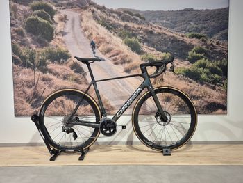 Orbea, ORCA M31eTEAM 2024