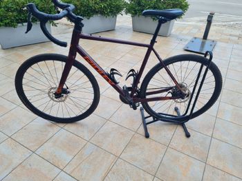 Ridley, Kalazy - Shimano Sora 2x9 Mechanical Disc brake 2024