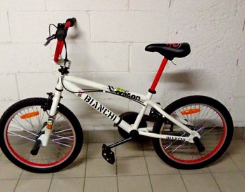 Bianchi, Bianchi Dragon 2