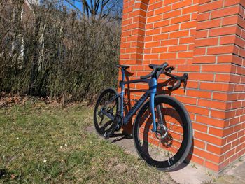 Used Pinarello Dogma F (MY2025) 2025 Road & Gravel — image 2 of 11