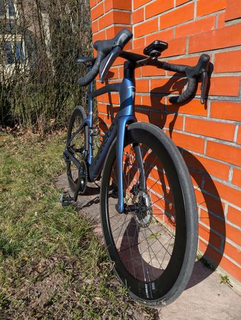 Used Pinarello Dogma F (MY2025) 2025 Road & Gravel — image 3 of 11
