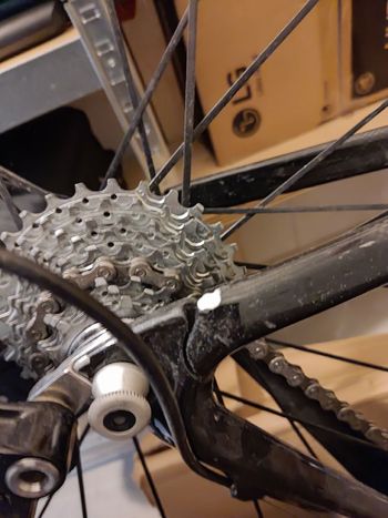 Used Look Look Custom Campagnolo Veloce 2016 Road & Gravel — image 8 of 17