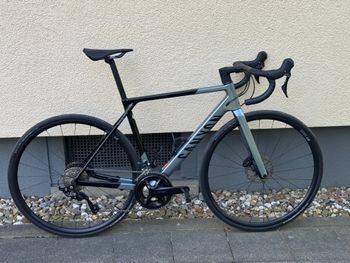 Canyon, Ultimate CF SL 7 2025