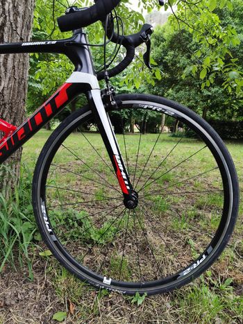 Used Giant TCR Advanced 2 2016 2016 Road & Gravel, Schwarz — image 7 of 14