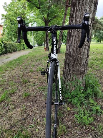 Used Giant TCR Advanced 2 2016 2016 Road & Gravel, Schwarz — image 12 of 14