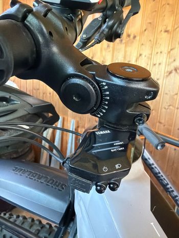 Used Raymon Raymon Custom SRAM SX Eagle 2023 Mountainbike, Light Gray, 29 — image 9 of 9